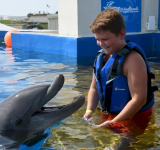 boy swimming with dolphin