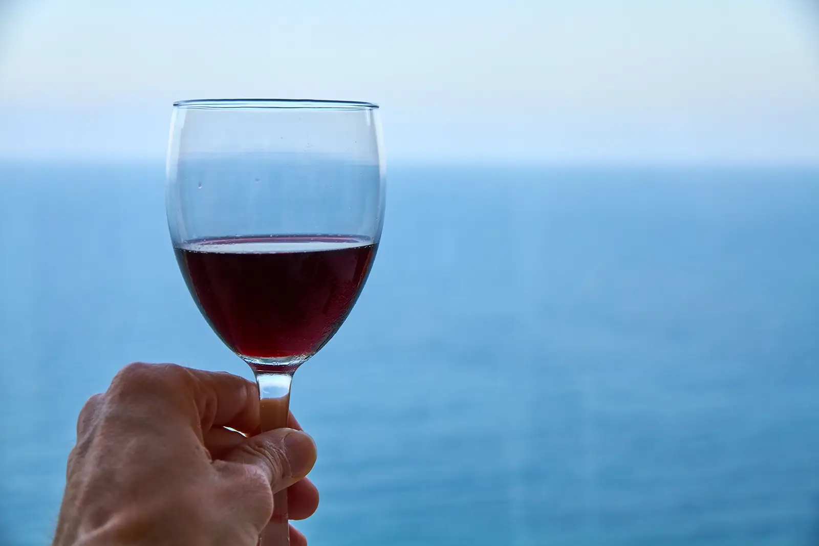 hand holding a wine glass in front of the ocean